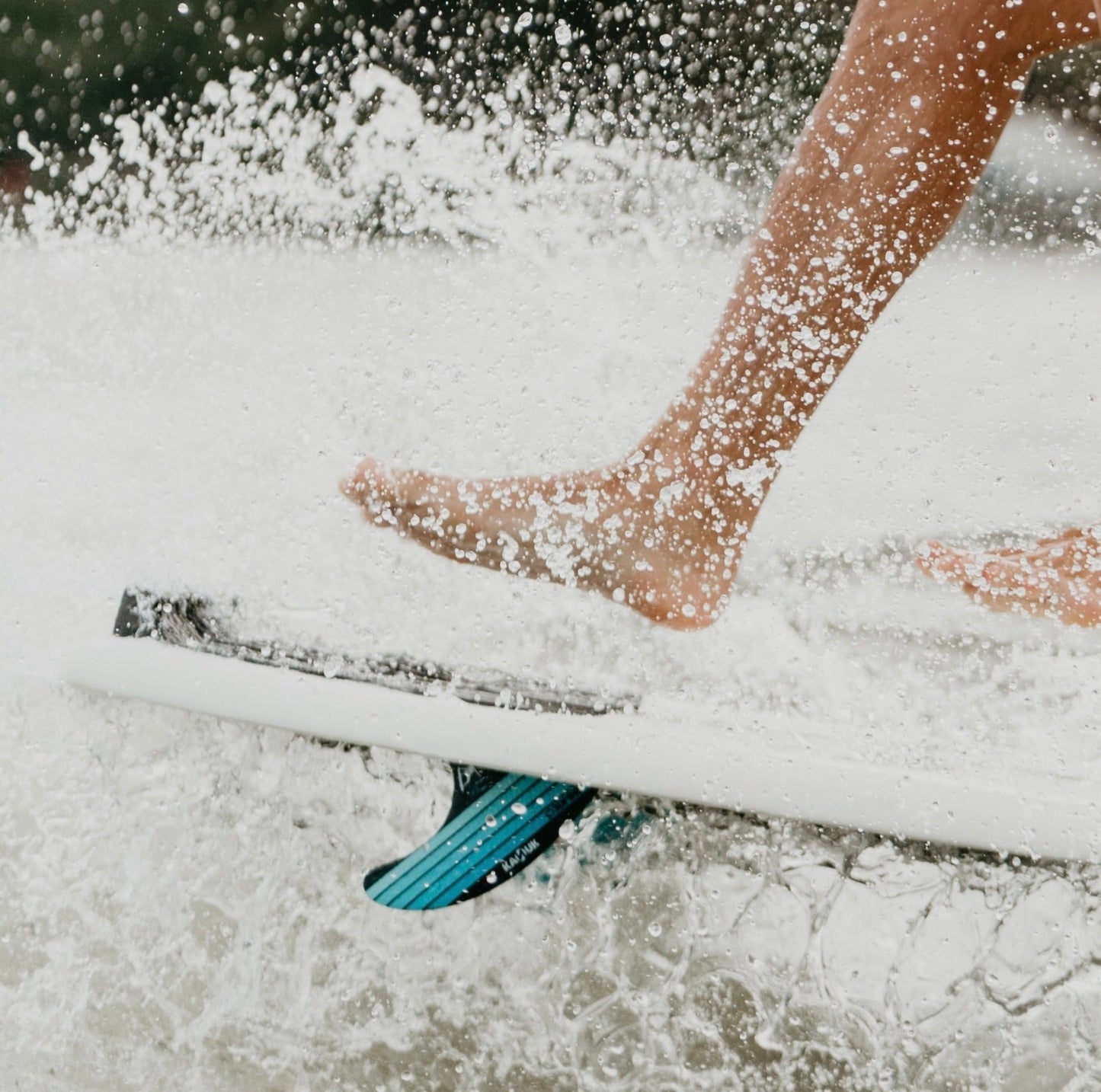 2024 3D Fins X Connor Burns